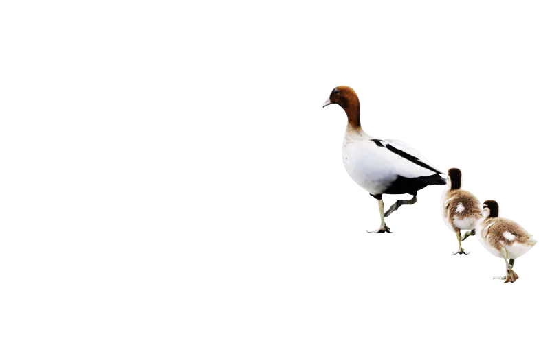 Empowering Talent Transformations